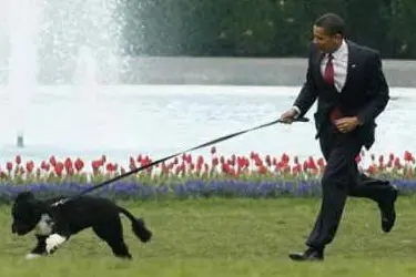 Il presidente Usa Barack Obama con il suo cane Bo