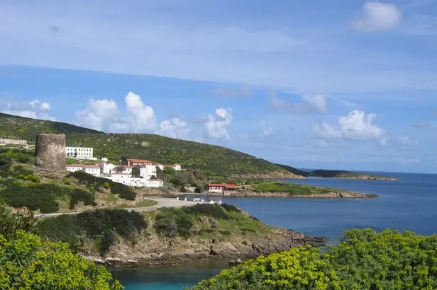 L'Asinara (Ansa)