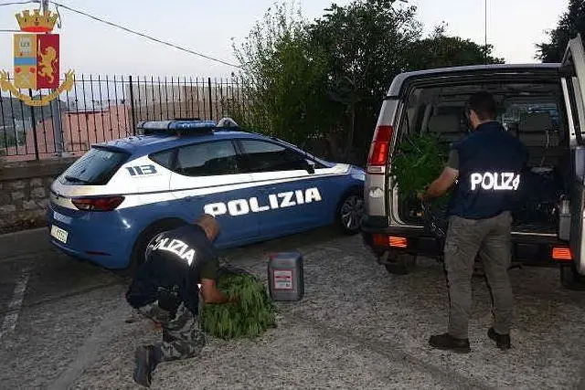 Gli agenti con alcune piante sequestrate (Foto Polizia)