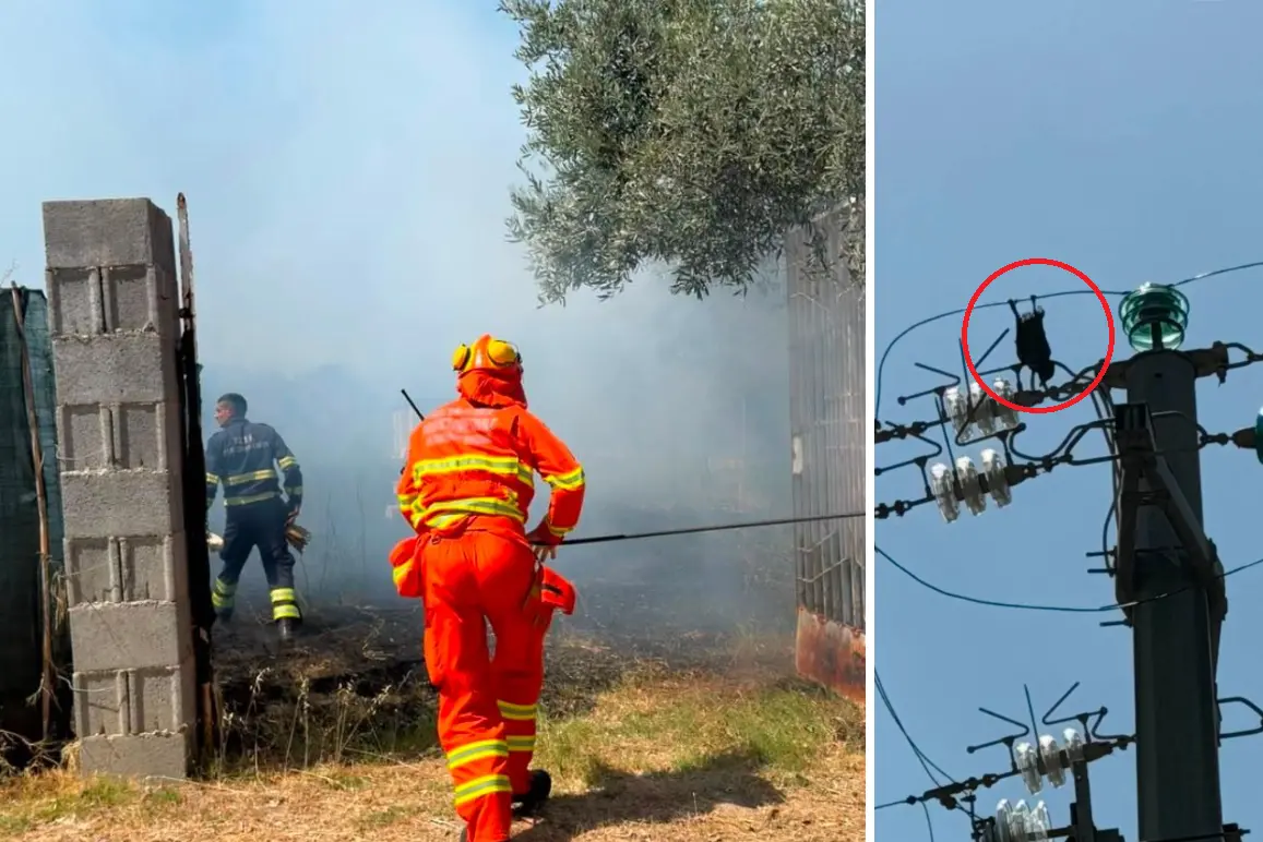 Un incendio avvenuto quest'estate a causa di una cornacchia