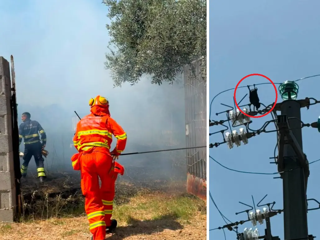 Un incendio avvenuto quest'estate a causa di una cornacchia