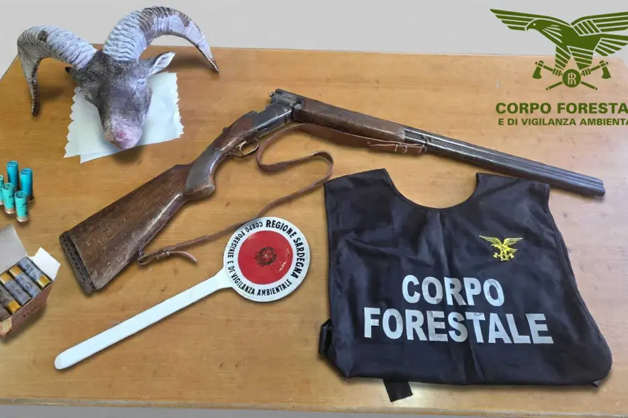 Il sequestro (foto Corpo forestale)