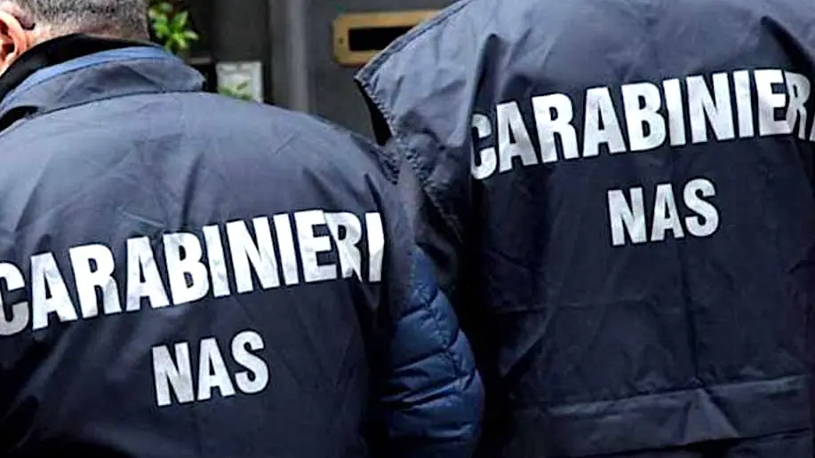 https://immagini.unionesarda.it/version/c:MjZjZDYyZWYtYjYzMi00:OTNkZmY0MjktMmMwMS00/image.webp?f=16:9