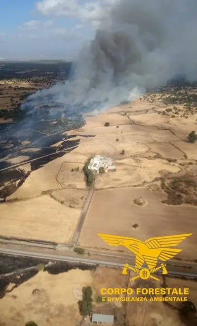 L'incendio scoppiato a Borore (foto vigili del fuoco)