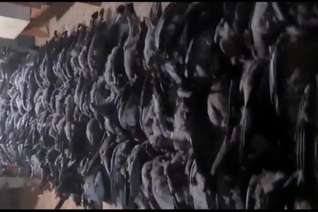 Un fermo immagine del video (Ansa)
