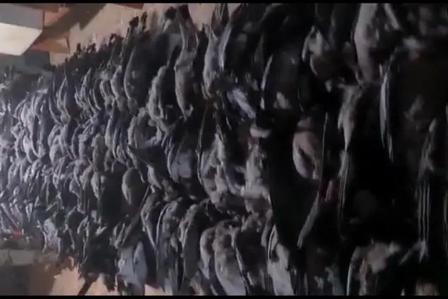 Un fermo immagine del video (Ansa)