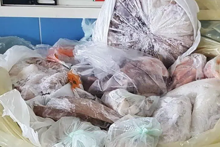 Il pesce sequestrato