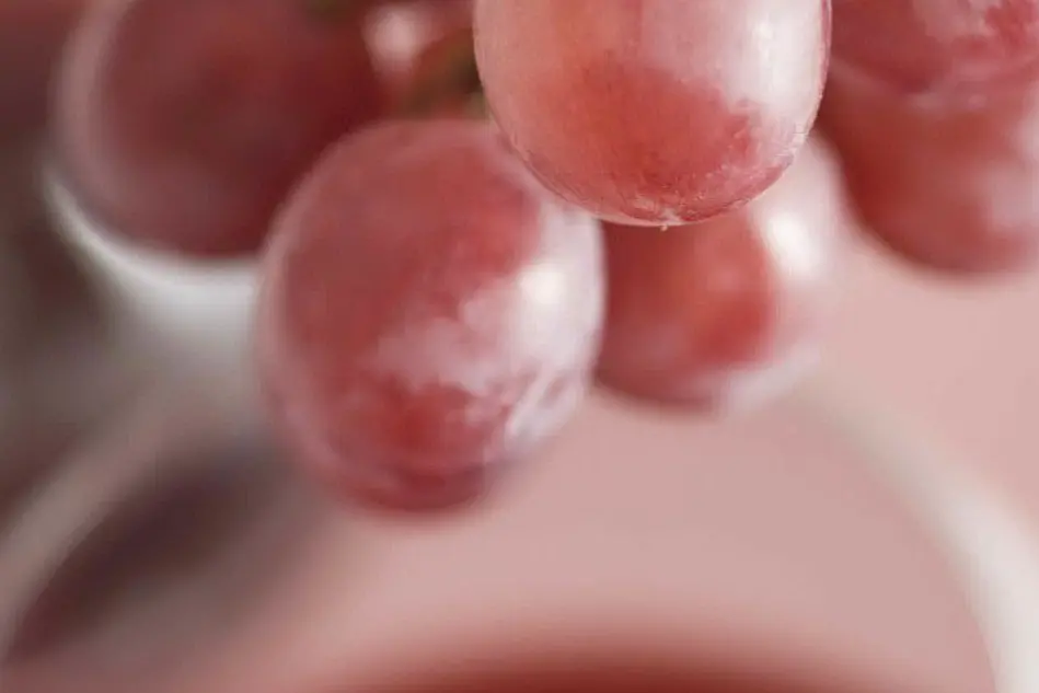 Un grappolo d'uva