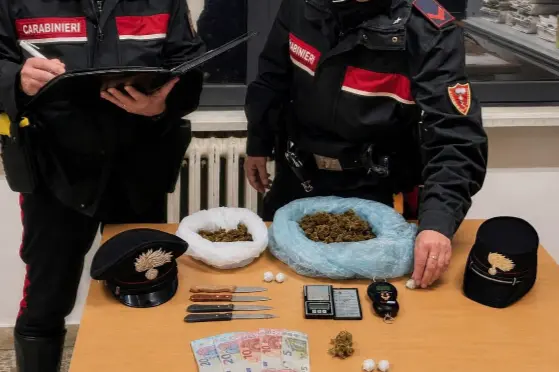 Il materiale sequestrato dai carabinieri (foto carabinieri)