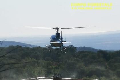L'elicottero in azione ad Ardauli (foto Corpo forestale)