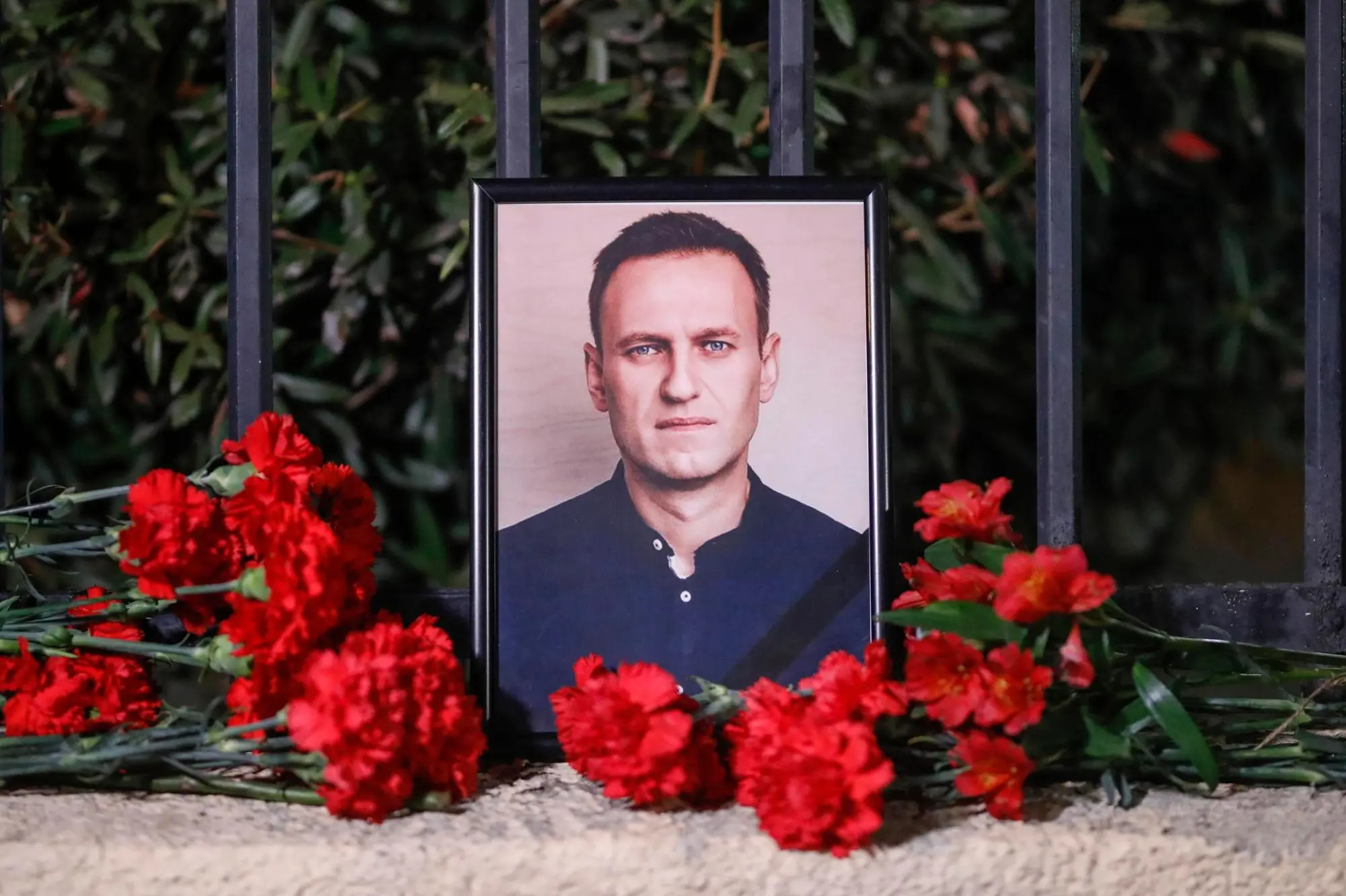 Alexei Navalny (Ansa-Epa)