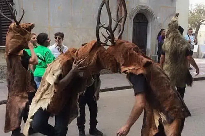 Is cerbus del carnevale sinnaese (foto L'Unione Sarda - Serreli)