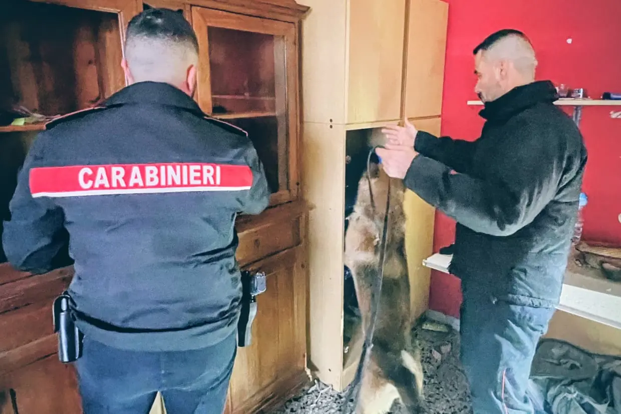 Operazione dei carabinieri a Iglesias