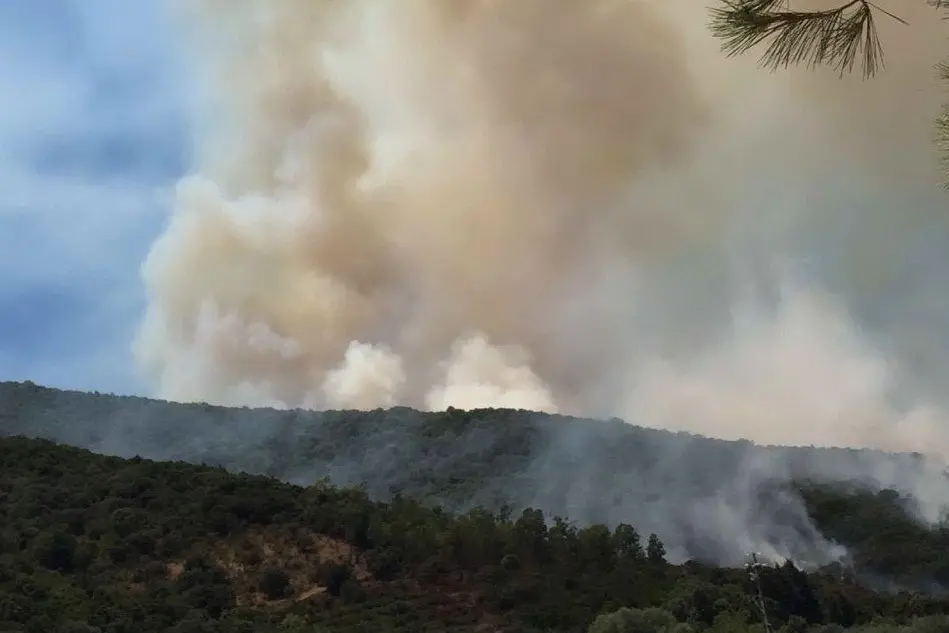 Incendio nella zona di Villascema a Villacidro