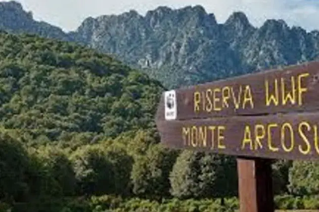 Un'immagine dalla riserva WWF di Monte Arcosu