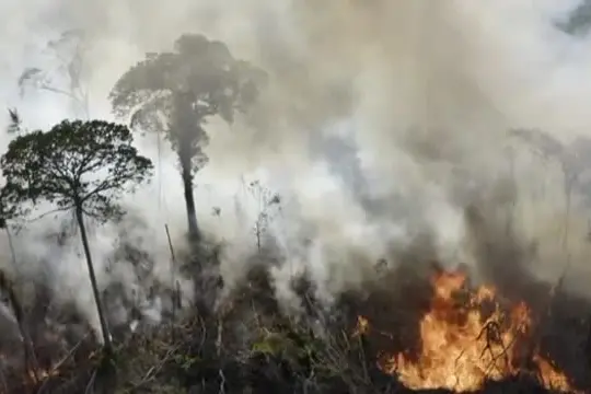 Clima, "Abbiamo rescisso il contratto di abitabilità con la Terra"