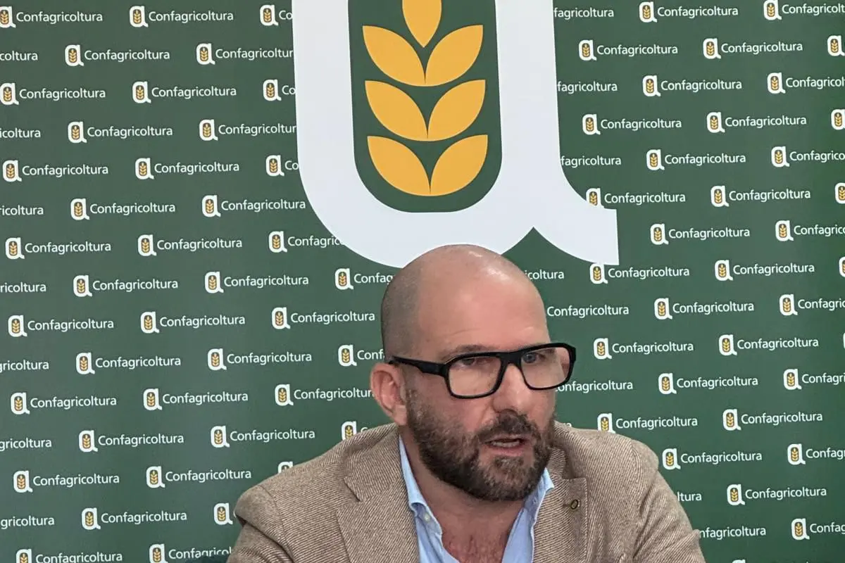 Stefano Taras, presidente di Confagricoltura Sardegna (Archivio)