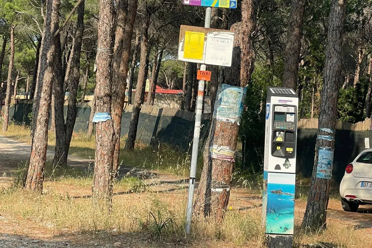 Pula, erba e sterpaglie nei parcheggi a pagamento