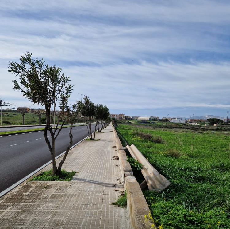 Porto Torres, la furia del vento sradica gli alberi e strappa via il guardrail