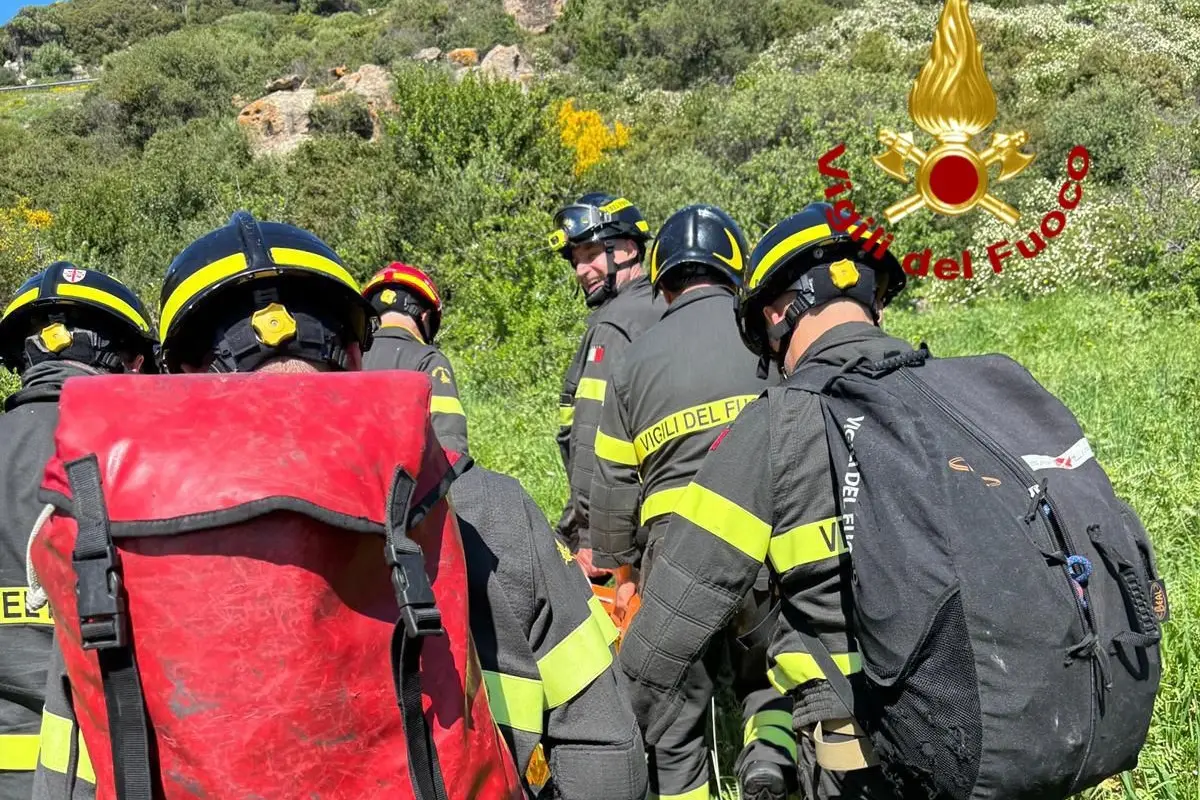 L'intervento di soccorso dei Vigili del fuoco (foto concessa)