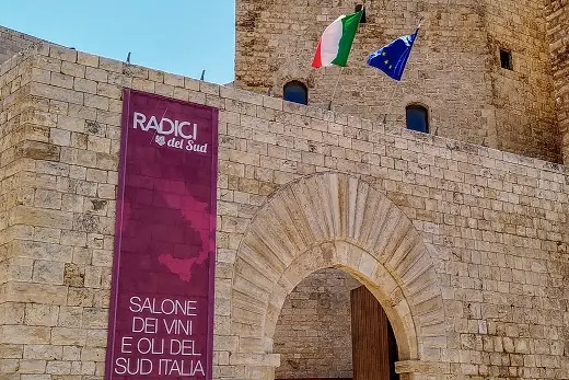 Il Castello di\u00A0Sannicandro di Bari (foto Radici del Sud)