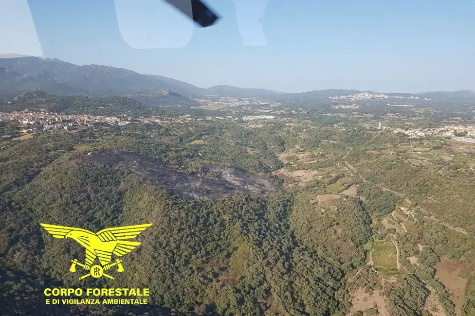 Un'area incendiata (foto Corpo forestale)