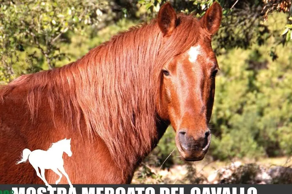 L'evento (Foto concessa)