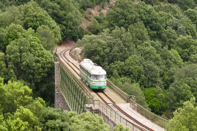 Il Trenino Verde (foto Mario Dessì-Archivio L'Unione Sarda)