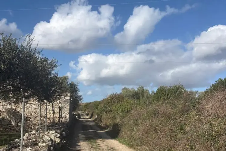 Strada rurale a Florinas (foto concessa)