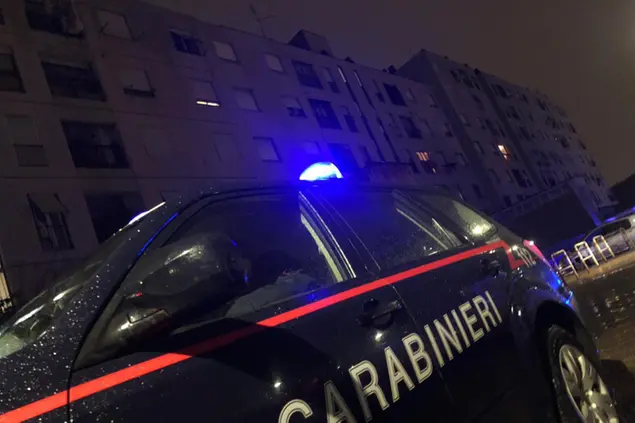 Carabinieri (foto Ansa)