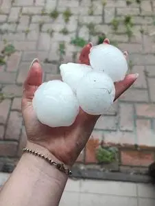 Chicci di grandine grossi come palle da tennis caduti sull'Astigiano pochi giorni fa (Ansa)
