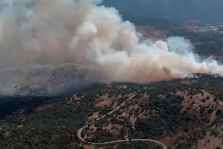 L'incendio a Olzai (Foto Corpo forestale)