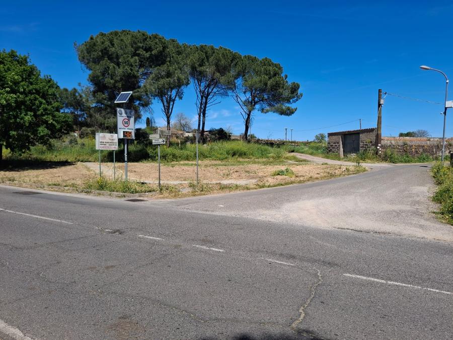 Ghilarza, cavallo al pascolo fugge sulla provinciale: travolto da un’auto, viene abbattuto per le gravi ferite