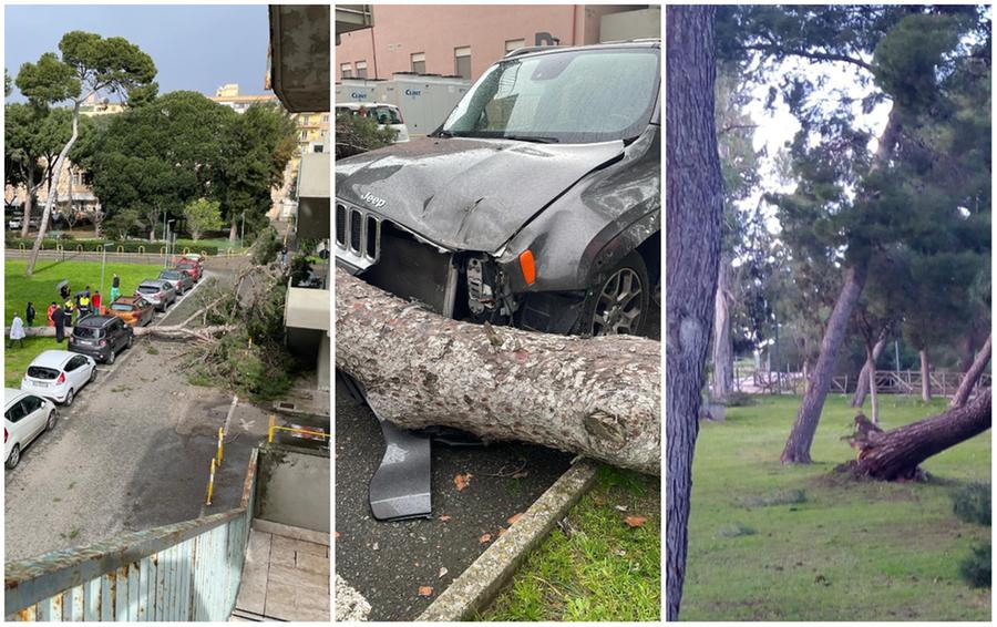Cagliari, tragedia sfiorata al Santissima Trinità: il vento sradica un pino che piomba su un’auto