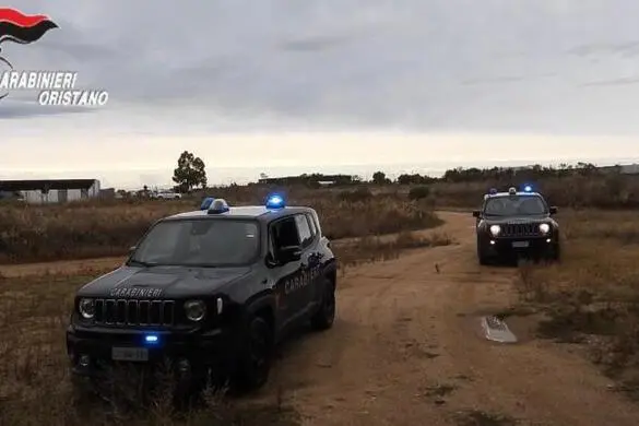 Un fermo immagine tratto da un video dei carabinieri di Oristano, 23 novembre 2021: Tre arresti, 17 denunce, 1.700 chili di infiorescenze di canapa, per un valore 17 milioni di euro, sequestrate insieme a 16mila piante illegali. È il bilancio dei numerosi controlli portati a termine dai carabinieri del Comando provinciale di Oristano sulla coltivazione e trattamento della canapa che ha visto impegnati i militari dell'Arma della Compagnia di Oristano, Mogoro e Ghilarza. Ben 500 gli obiettivi, tra aziende agricole, ovili, capannoni e terreni, ispezionati anche con l'aiuto dello Squadrone Eliportato Cacciatori di Sardegna che hanno portato alle irregolarità nella coltivazione di canapa, e detenzione illecita di armi. ANSA/CARABINIERI EDITORIAL USE ONLY NO SALES