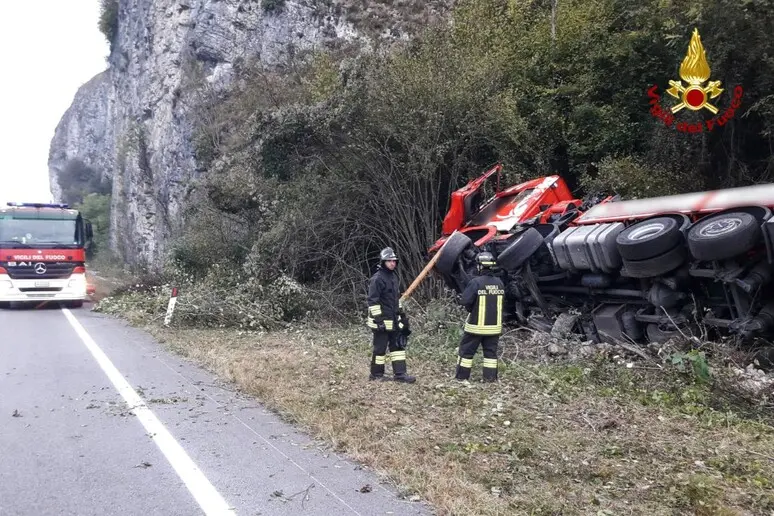 image.webp?f=3%3A2&q=0 Camion investe cervo, che finisce nella cabina del tir: morti conducente e animale