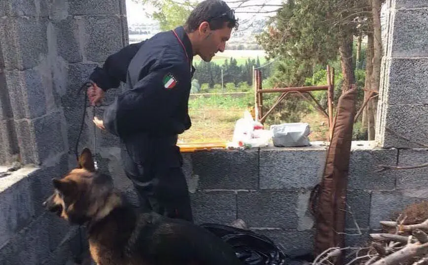 In azione anche i cani anti-droga