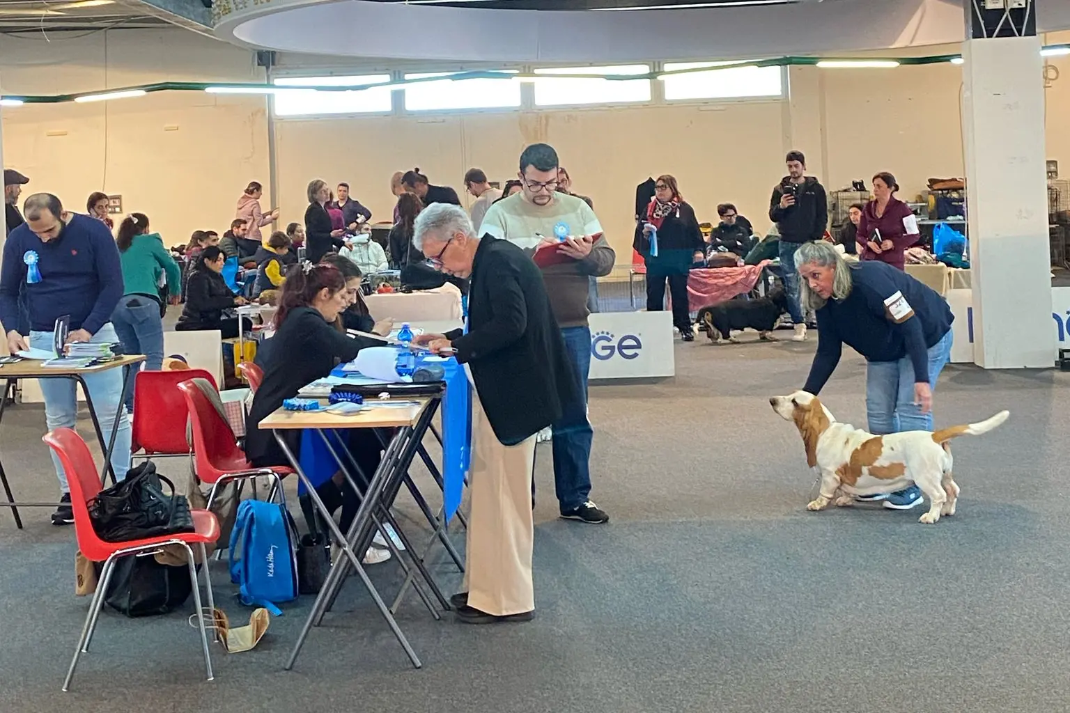 Cagliari, Dog Show alla Fiera