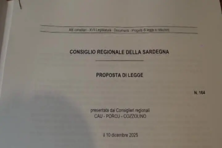 Regione, dalla dermatite al rilancio della filiera bovina: una legge e un marchio per valorizzare la carne sarda