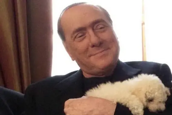 Silvio Berlusconi e Dudù (Ansa)