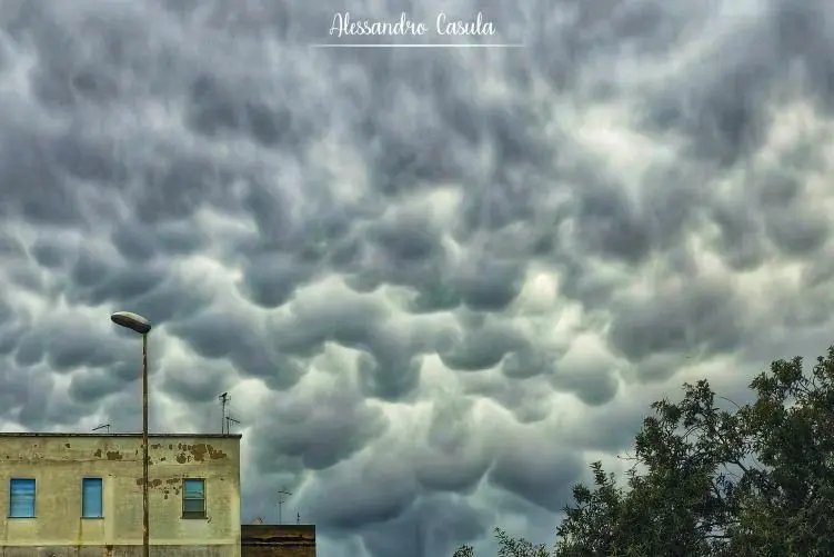 Mammut Cagliari (Foto Alessandro Casula)