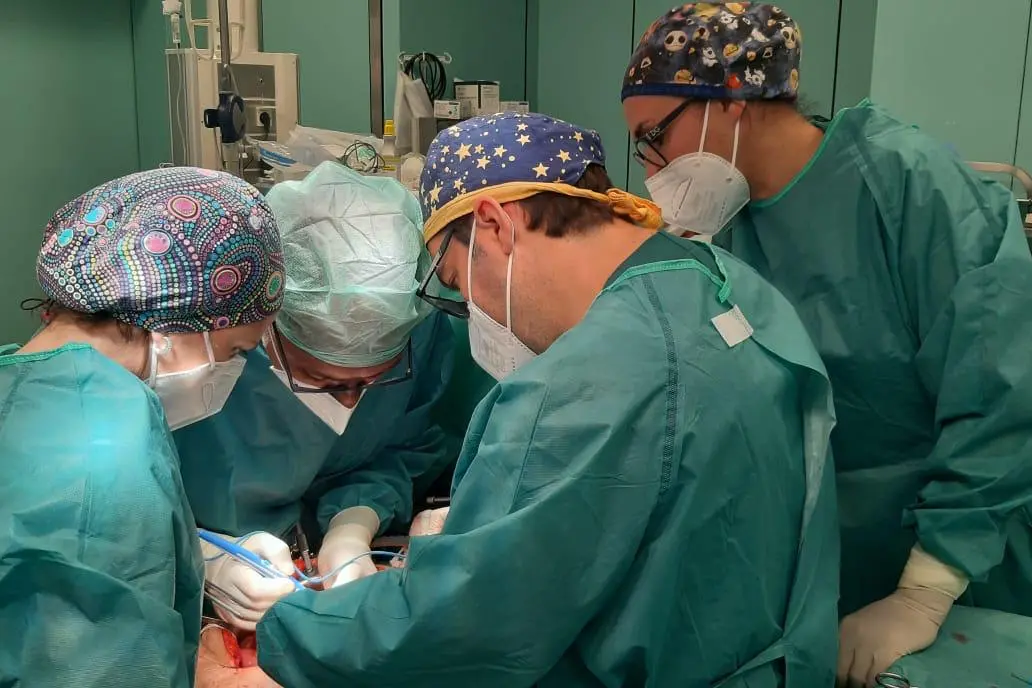 Tumori dell’ovaio, al Duilio Casula un team multidisciplinare di alta specializzazione (foto ufficio stampa)