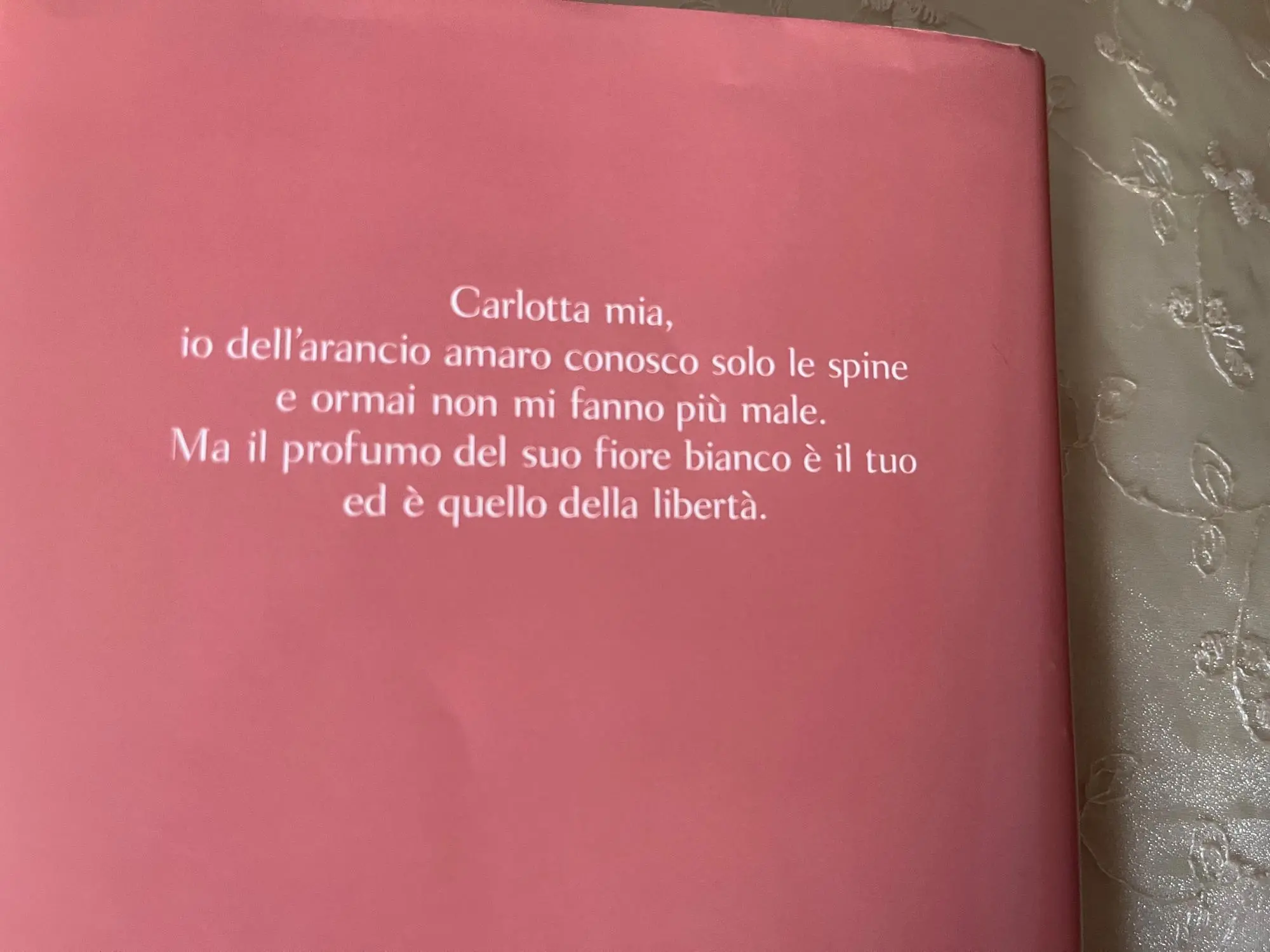 Il retrocopertina del libro (foto V. Pinna)