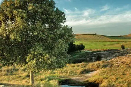 Un paesaggio della Trexenta