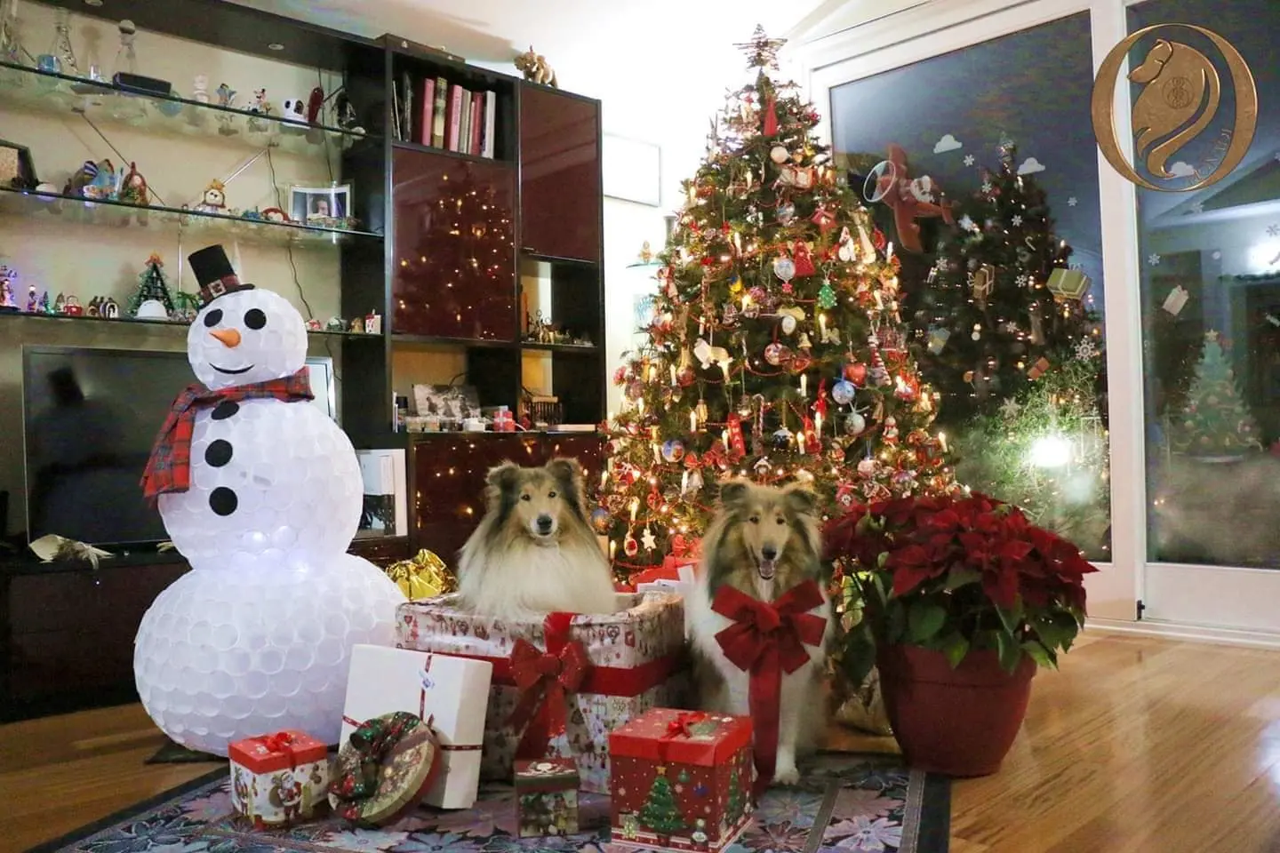 Buon Natale da King e Bebi, Carlo Cabras da Quartu Sant'Elena