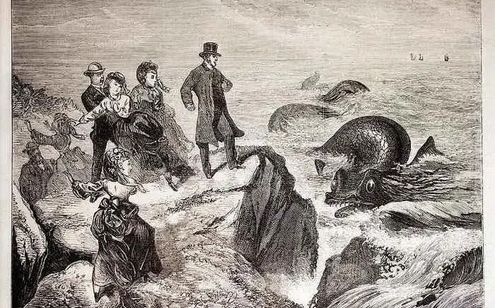 Serpente marino, stampa irlandese del 1871
