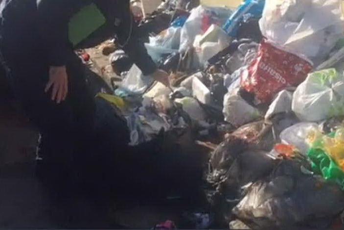 Cagliari: vigili a caccia dei &quot;furbetti dei rifiuti&quot;