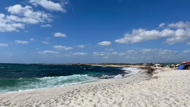 https://immagini.unionesarda.it/version/c:MmIxYTBhNTEtODQ1Yy00:NzI3ZjYwMWYtMDA3Ni00/image.webp?f=16:9