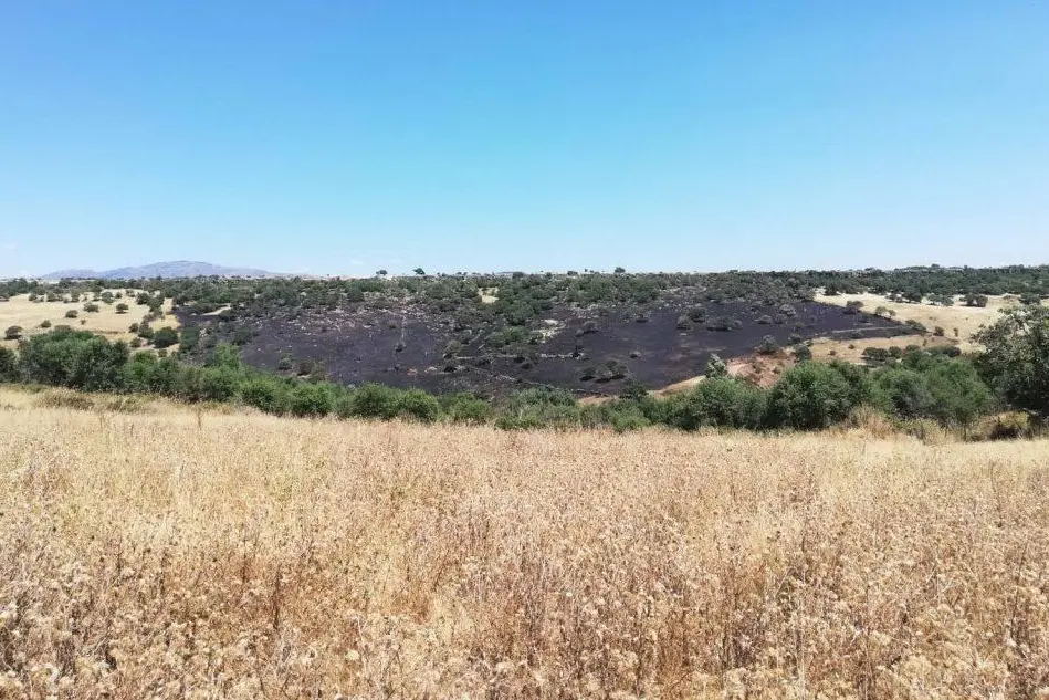 La zona colpita dall'incendio a Nurri (L'Unione Sarda - Pintori)