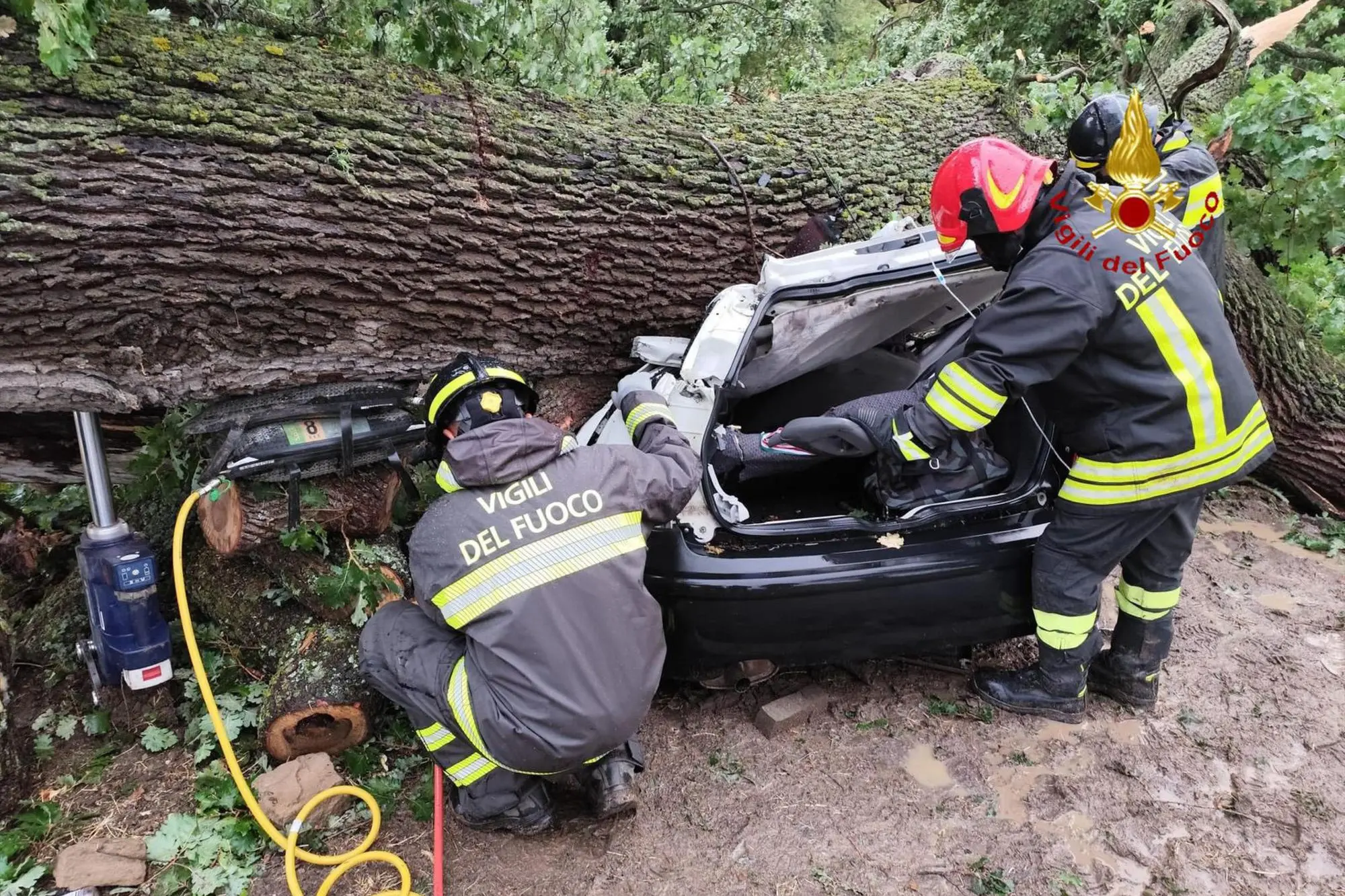 Maltempo, un albero cade su un'auto (Foto simbolo)